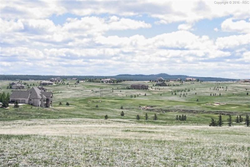 1615 Lyonsdown Ln, Monument, CO 80132
