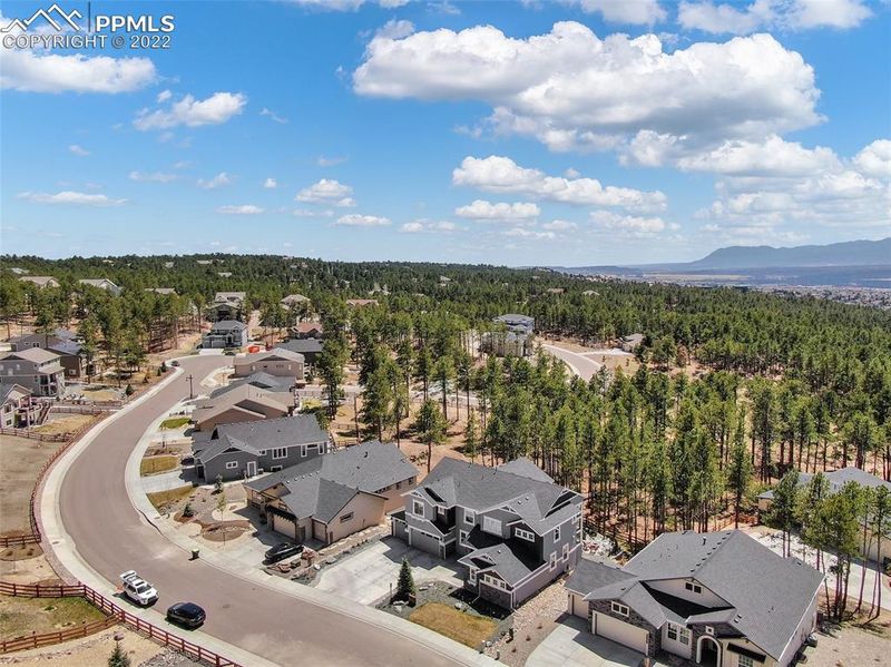 16152 Sunrise Glory Ln, Monument, CO 80132