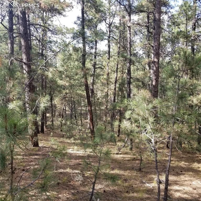 16154 N Meridian Rd, Elbert, CO 80106