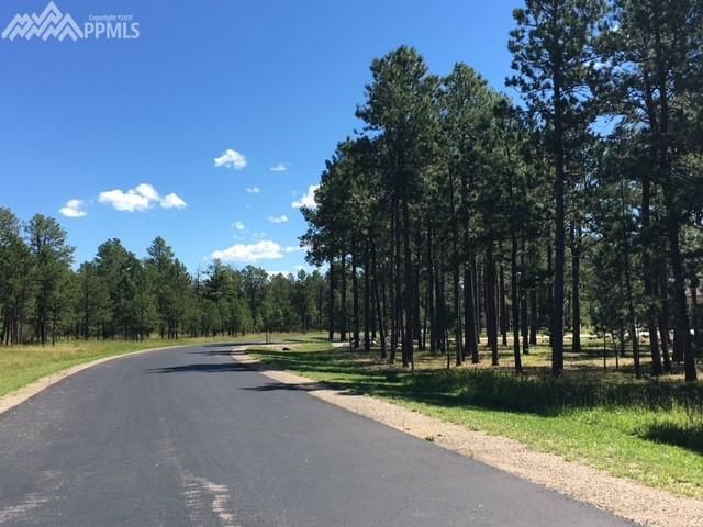 16164 Pole Pine Point, Colorado Springs, CO 80908