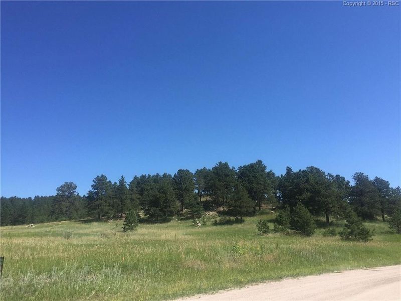 16190 Reata Rd, Peyton, CO 80831