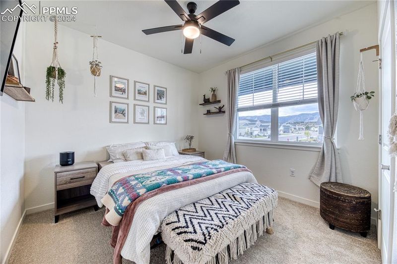 16197 Alpine Sorrel Dr, Monument, CO 80132