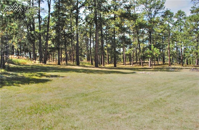 16245 Meridian Rd, Elbert, CO 80106