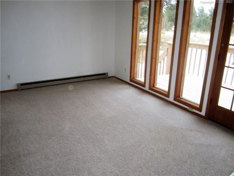 163 Lost Lake Dr, Divide, CO 80814