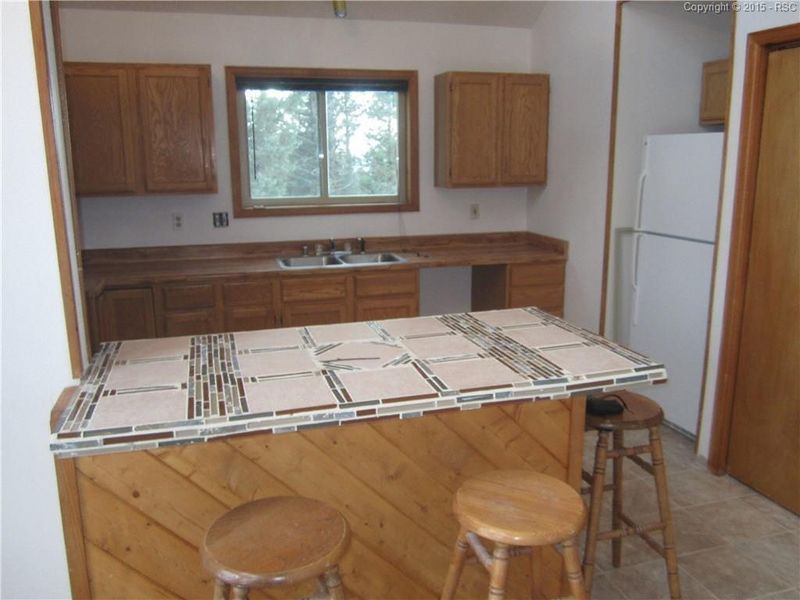 163 Lost Lake Dr, Divide, CO 80814