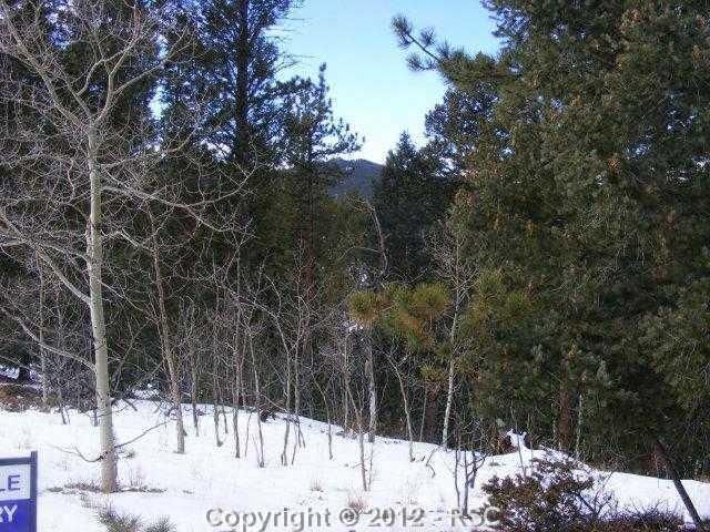 163 Spruce Creek Rd, Divide, CO 80814