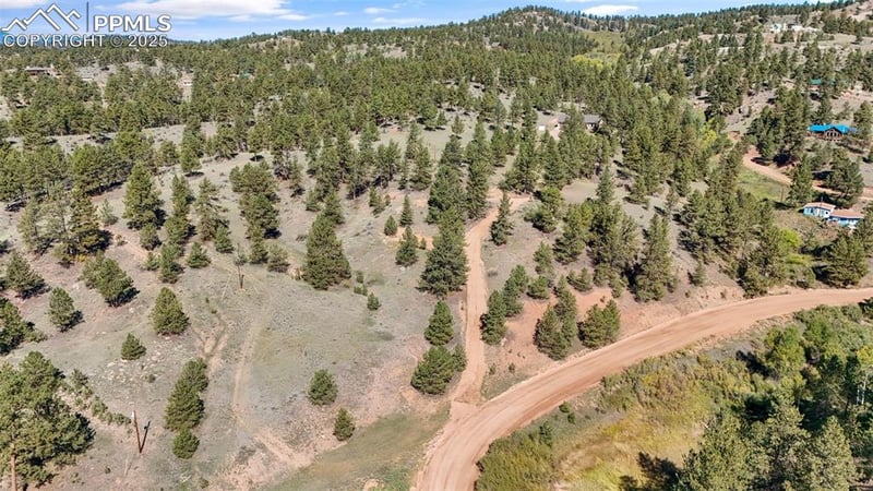 163 Valley View Dr, Florissant, CO 80816