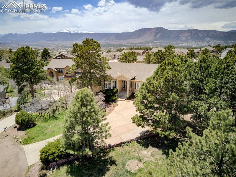 1630 Capadaro Ct, Monument, CO 80132
