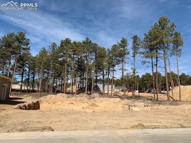 16464 Corkbark Ter, Monument, CO 80132