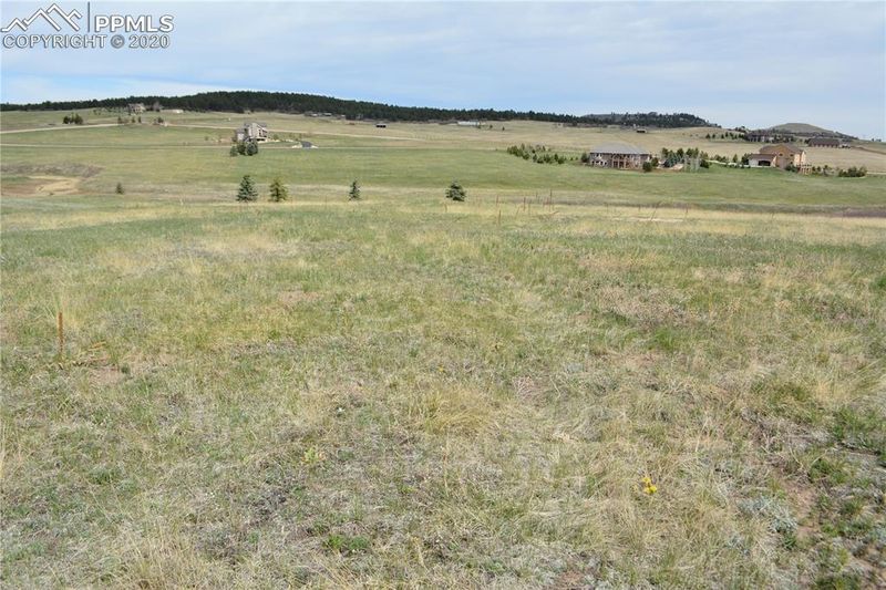 1654 Kings Cross Ln, Monument, CO 80132