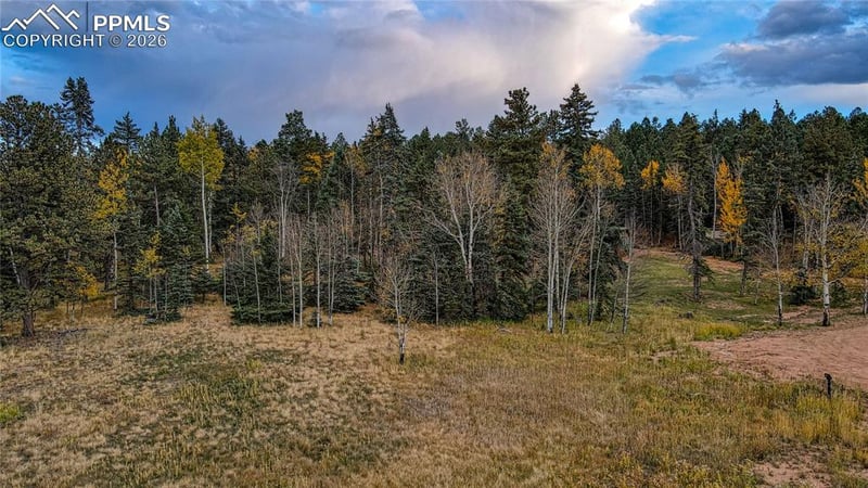 166 Denwood Dr, Florissant, CO 80816