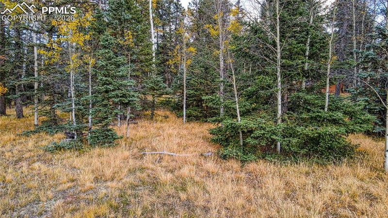 166 Denwood Dr, Florissant, CO 80816
