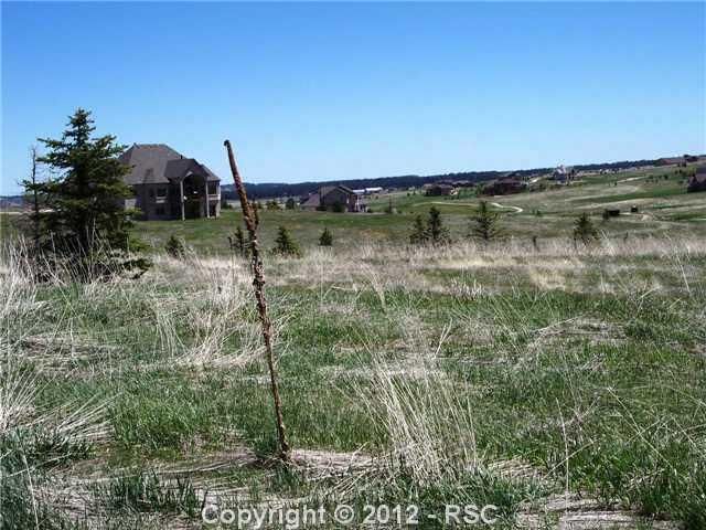 1663 Lyonsdown Ln, Monument, CO 80132