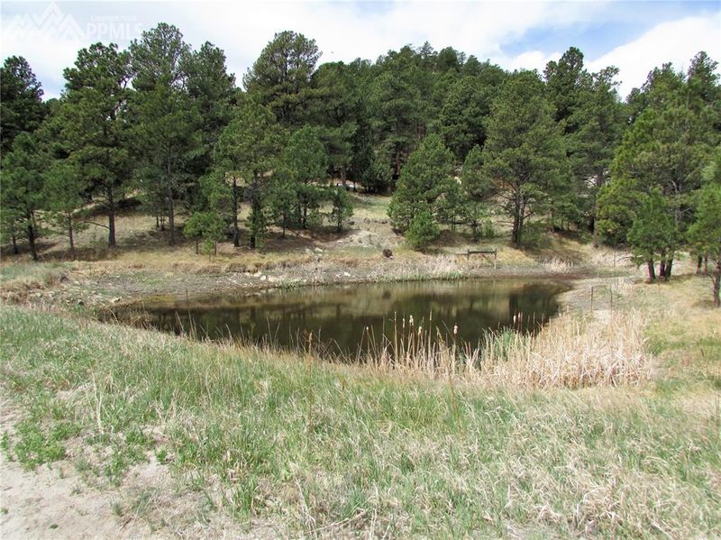 16650 Mesquite Rd, Peyton, CO 80831