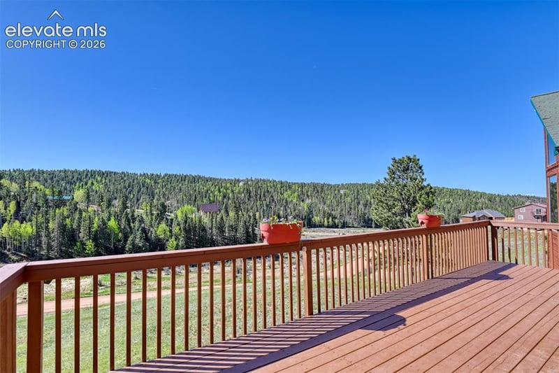 1667 Blue Mesa Dr, Divide, CO 80814