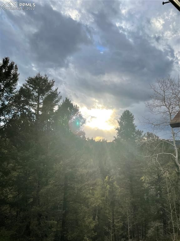 1672 Calcite Dr, Divide, CO 80814