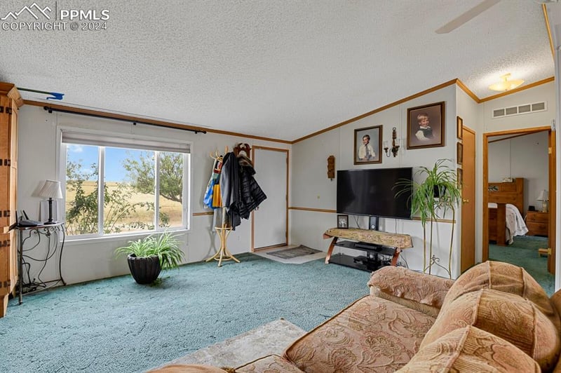 16755 Rabbit Track Trl, Colorado Springs, CO 80930