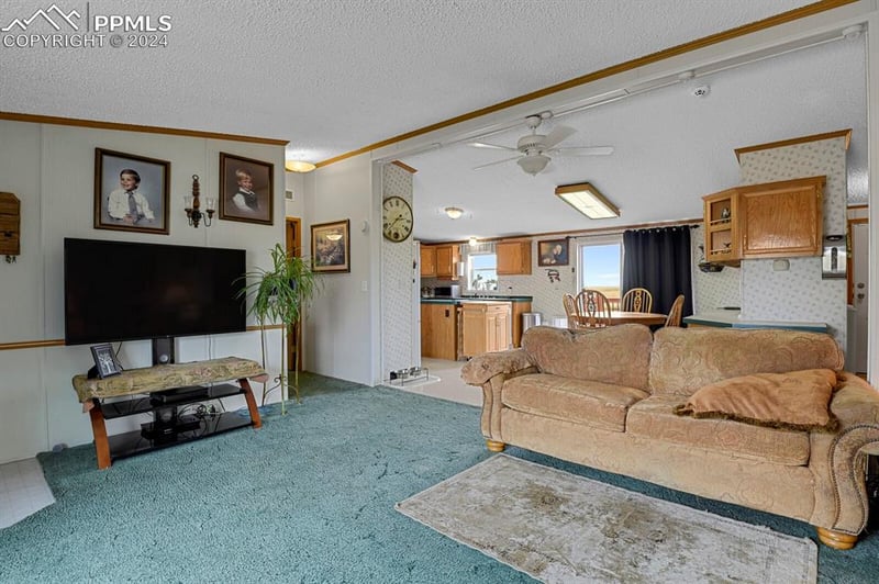 16755 Rabbit Track Trl, Colorado Springs, CO 80930