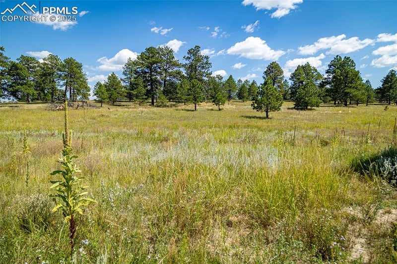 16759 Winsome Way, Colorado Springs, CO 80908
