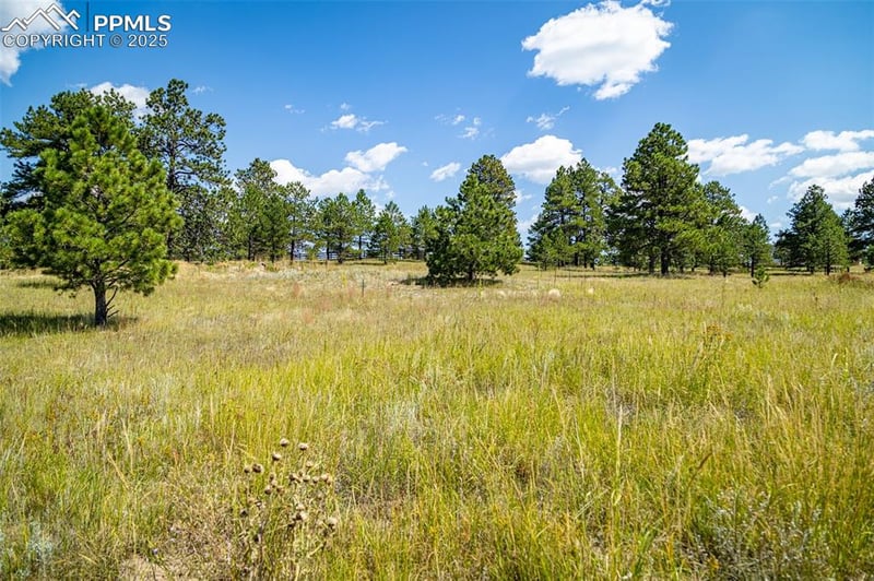 16759 Winsome Way, Colorado Springs, CO 80908