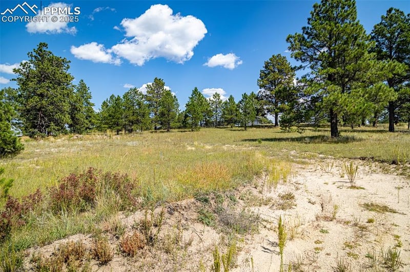 16759 Winsome Way, Colorado Springs, CO 80908