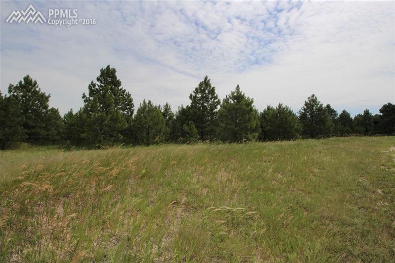 16825 Guadalupe Ct, Peyton, CO 80831