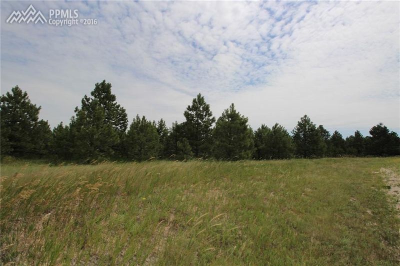 16825 Guadalupe Ct, Peyton, CO 80831
