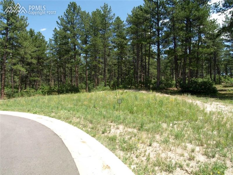 1684 Wild Timber Ct, Franktown, CO 80116