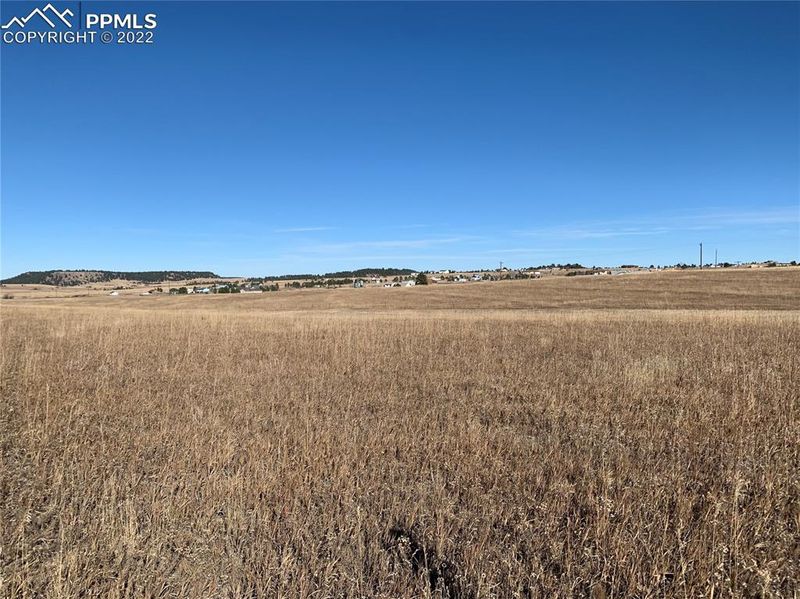16871 Early Light Dr, Colorado Springs, CO 80908
