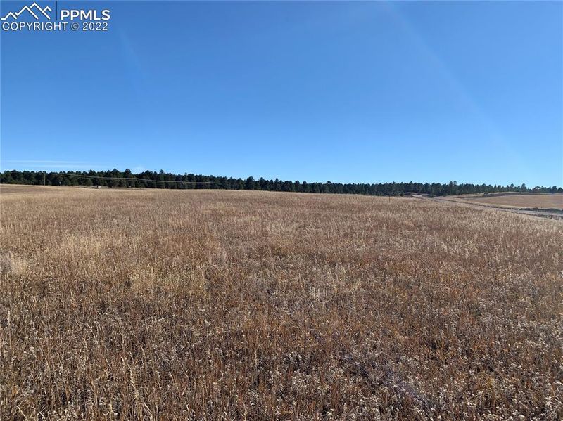 16871 Early Light Dr, Colorado Springs, CO 80908