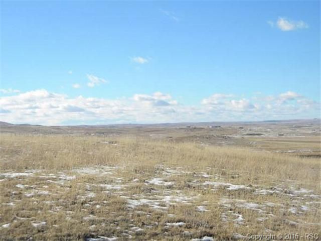 16910 Blasingame Rd, Ramah, CO 80832