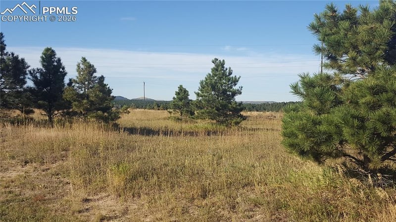 16935 Oldborough Hts, Monument, CO 80132