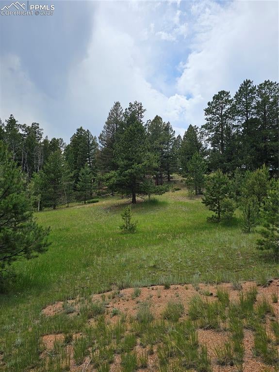 1694 County Road 512, Divide, CO 80814