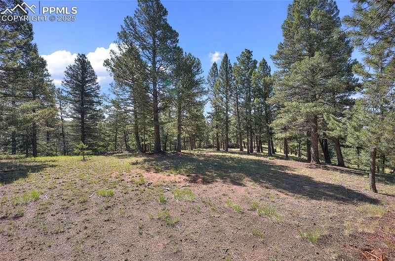 1694 County Road 512, Divide, CO 80814