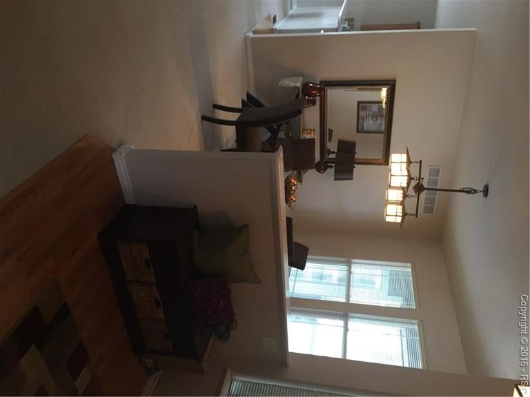 16976 Buffalo Valley Pa, Monument, CO 80132