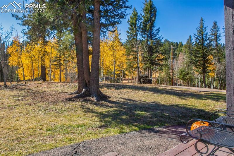 1698 Spring Valley Dr, Divide, CO 80814