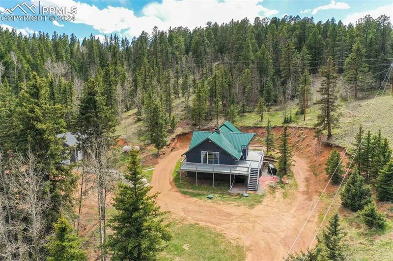 1699 Spring Valley Dr, Divide, CO 80814