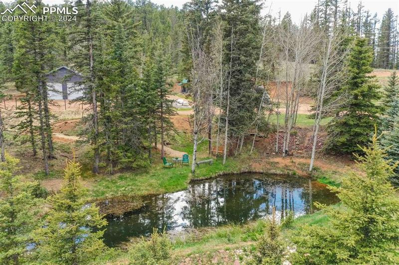 1699 Spring Valley Dr, Divide, CO 80814