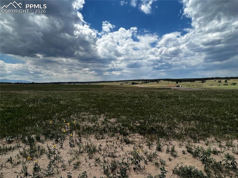 16990 Early Light Dr, Colorado Springs, CO 80908