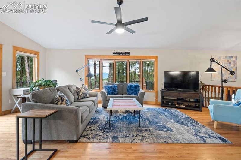 170 W Stirrup Trl, Monument, CO 80132