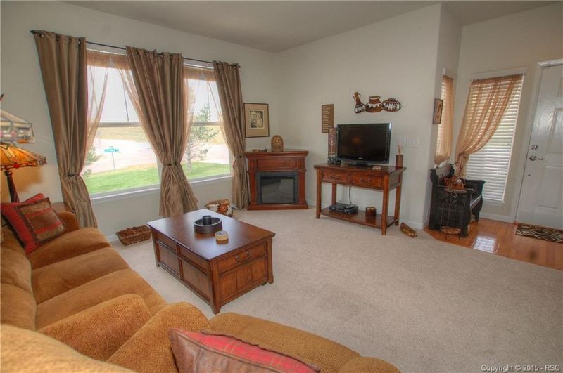 17020 Blue Mist Grv, Monument, CO 80132