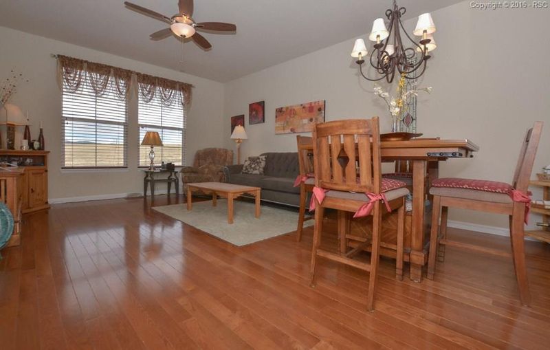 17044 Blue Mist Grv, Monument, CO 80132