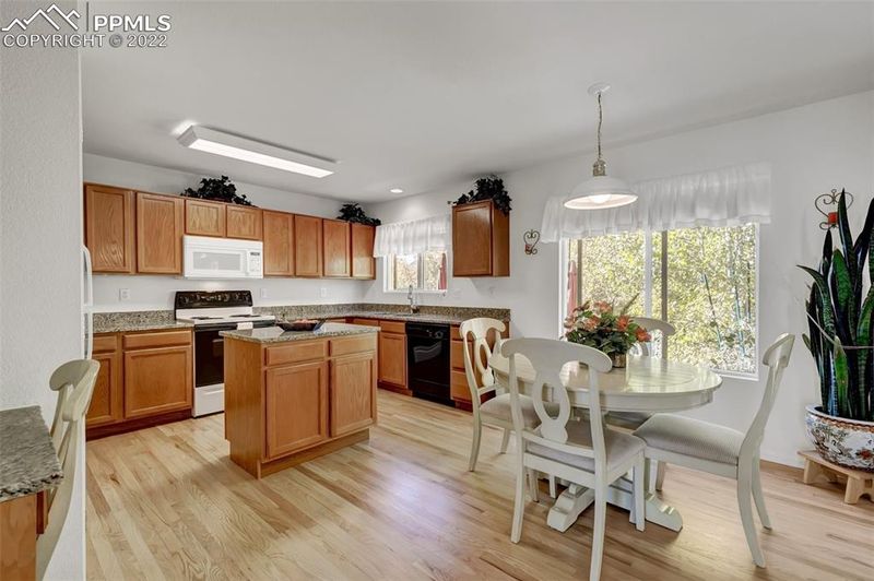 17070 Mountain Lake Dr, Monument, CO 80132