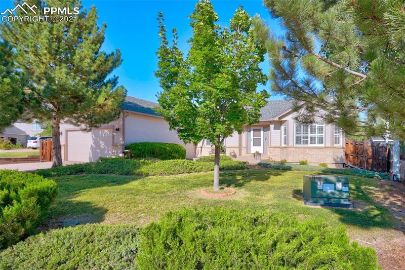 17071 Buffalo Valley Pa, Monument, CO 80132
