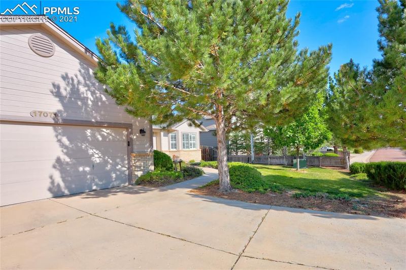 17071 Buffalo Valley Pa, Monument, CO 80132