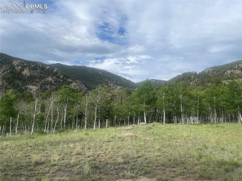 171 Emerald Way, Lake George, CO 80827