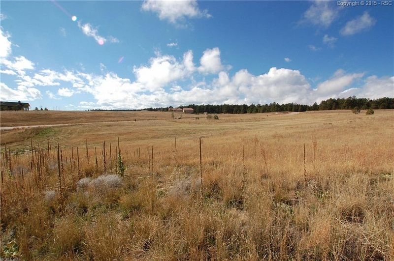1710 Trumpeters Ct, Monument, CO 80132