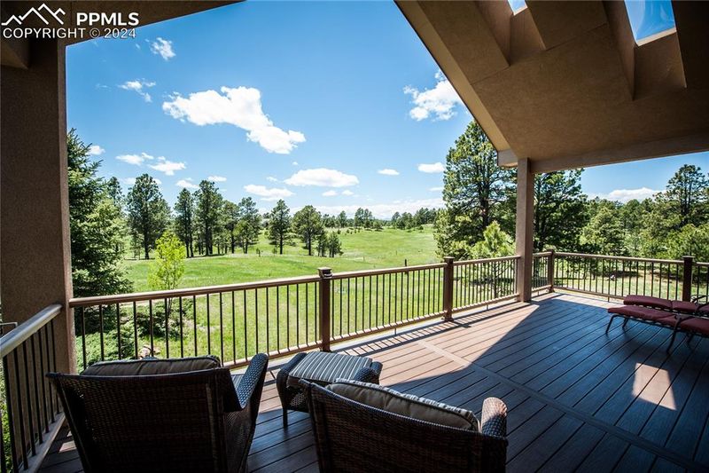 17115 E Goshawk Rd, Colorado Springs, CO 80908