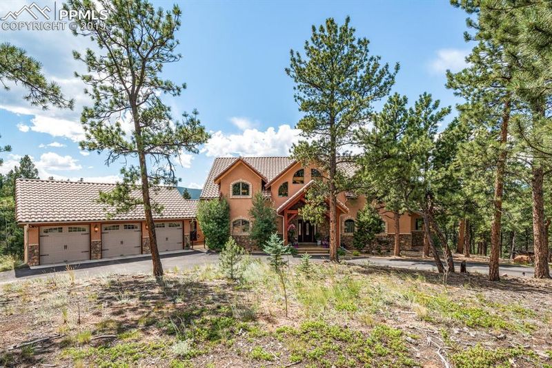 1719 Tapadero Rd, Bailey, CO 80421