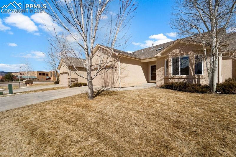 1720 Moorwood Point, Monument, CO 80132